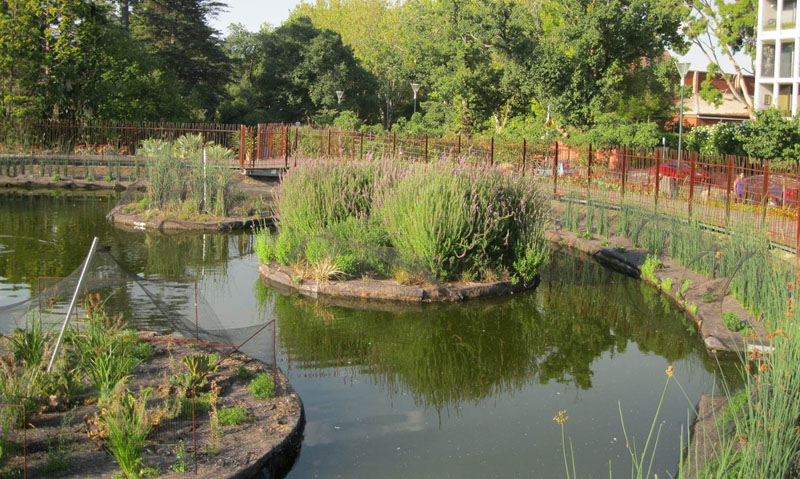 Floating Wetlands Stormwater Treatment