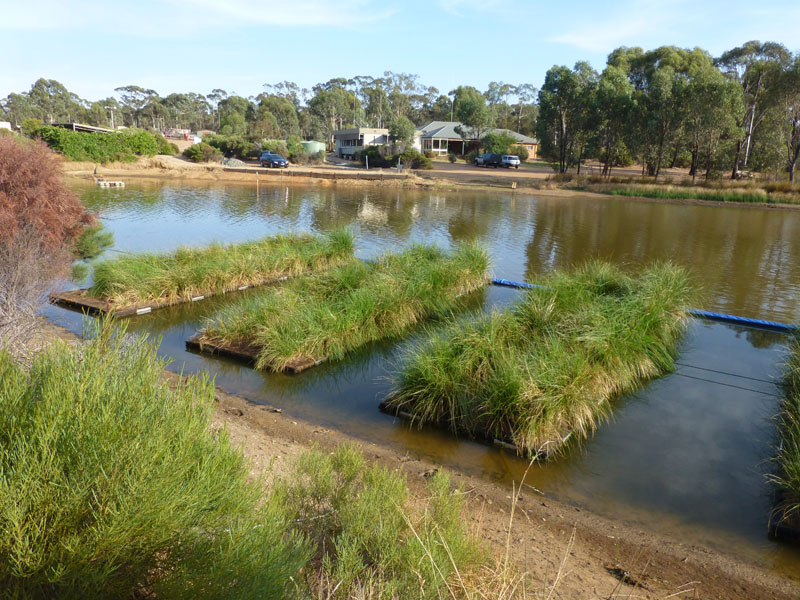 Floating Wetlands Stormwater Treatment