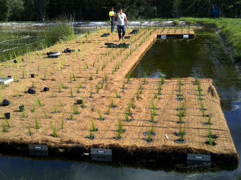 Floating Wetlands Wastewater Treatment