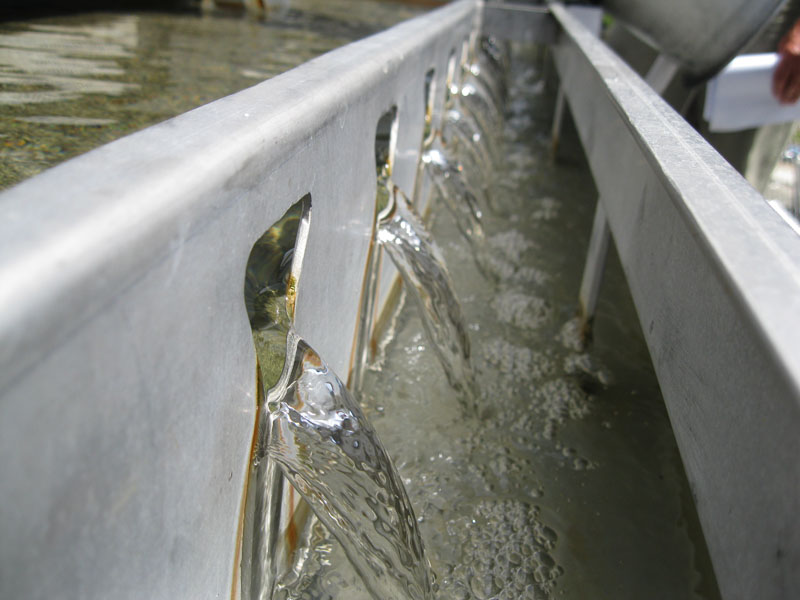 Floating Wetlands Wastewater Treatment