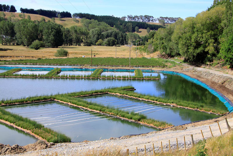 Floating Wetlands Wastewater Treatment