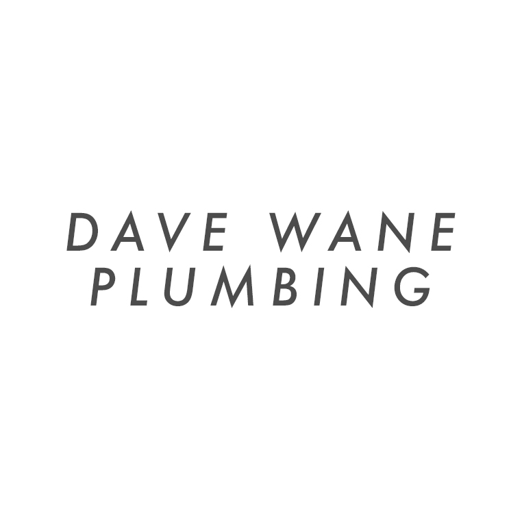 dave wane plumbing text image