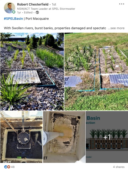 spelbasin linkedin feed