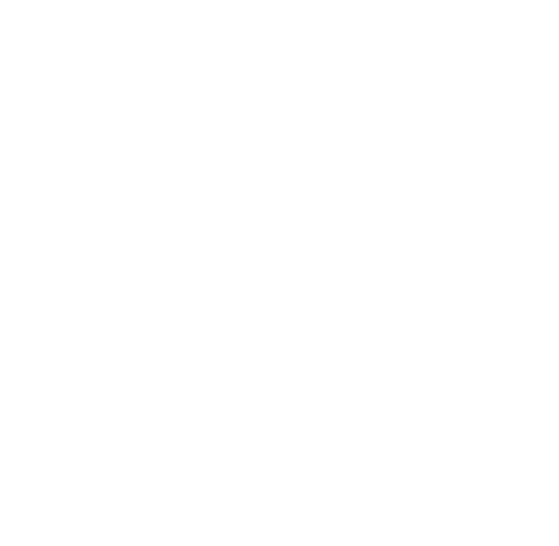 SPEL YAWA Logo Whiite